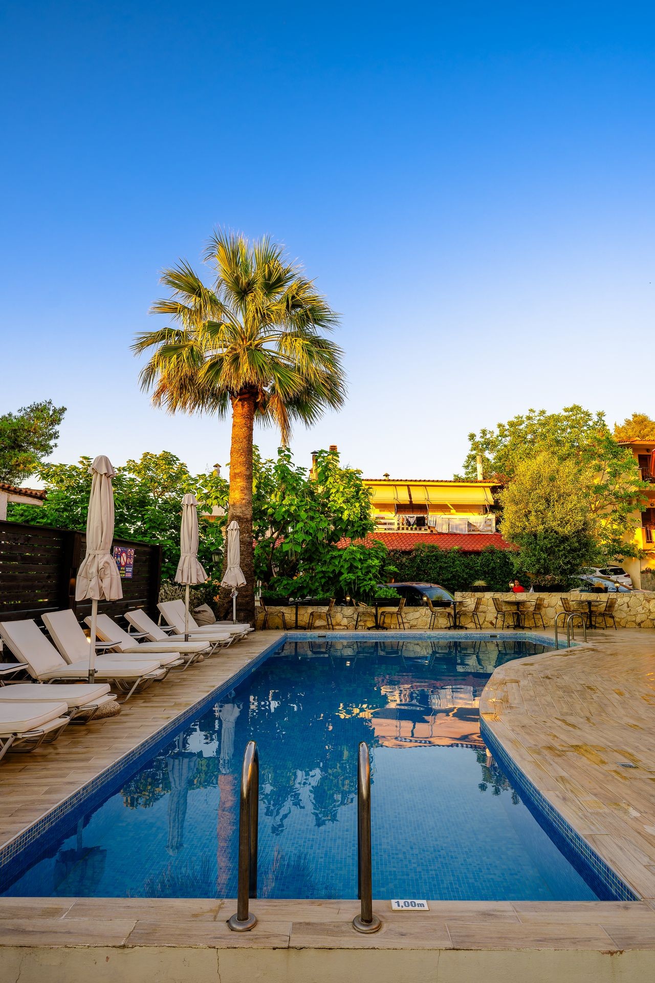 Outdoor swimming pool with lounge chairs under umbrellas and a tall palm tree against a blue sky.